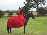 LADY IN RED ON HORSE